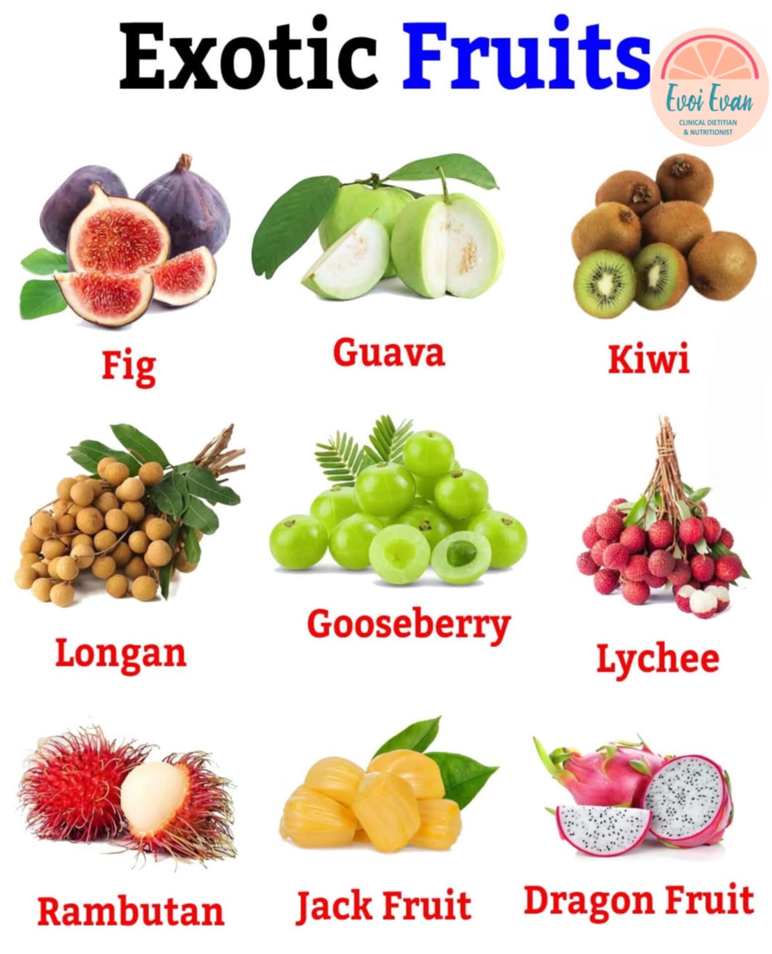Nutrition Tips