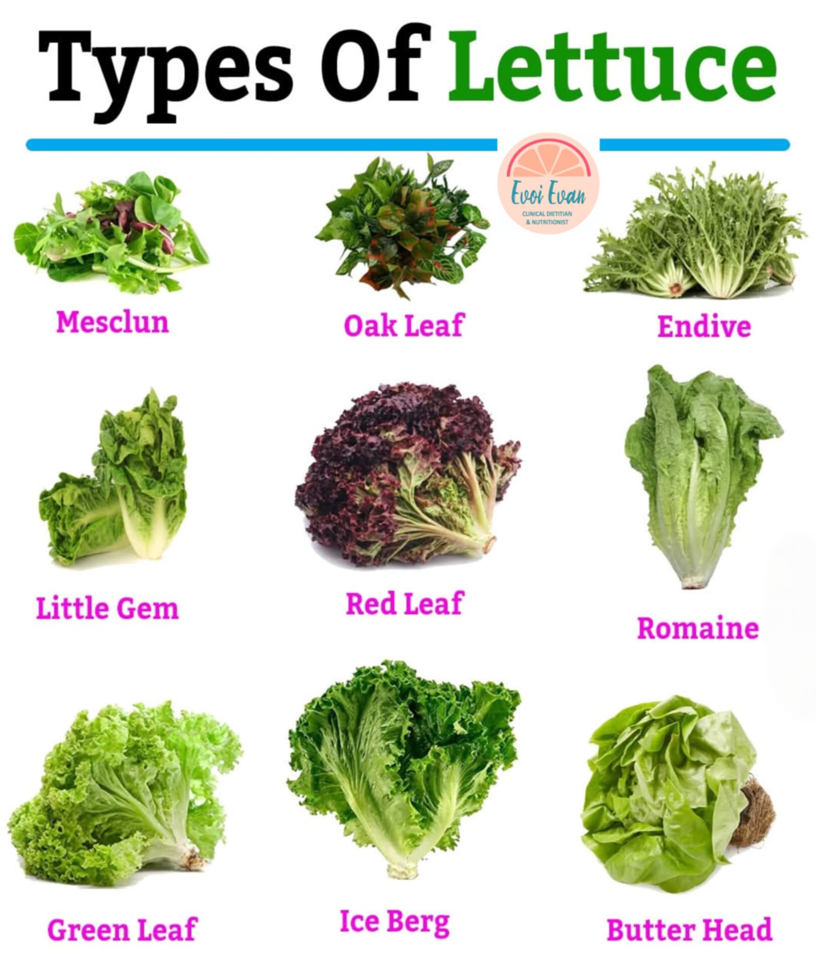 Nutrition Tips