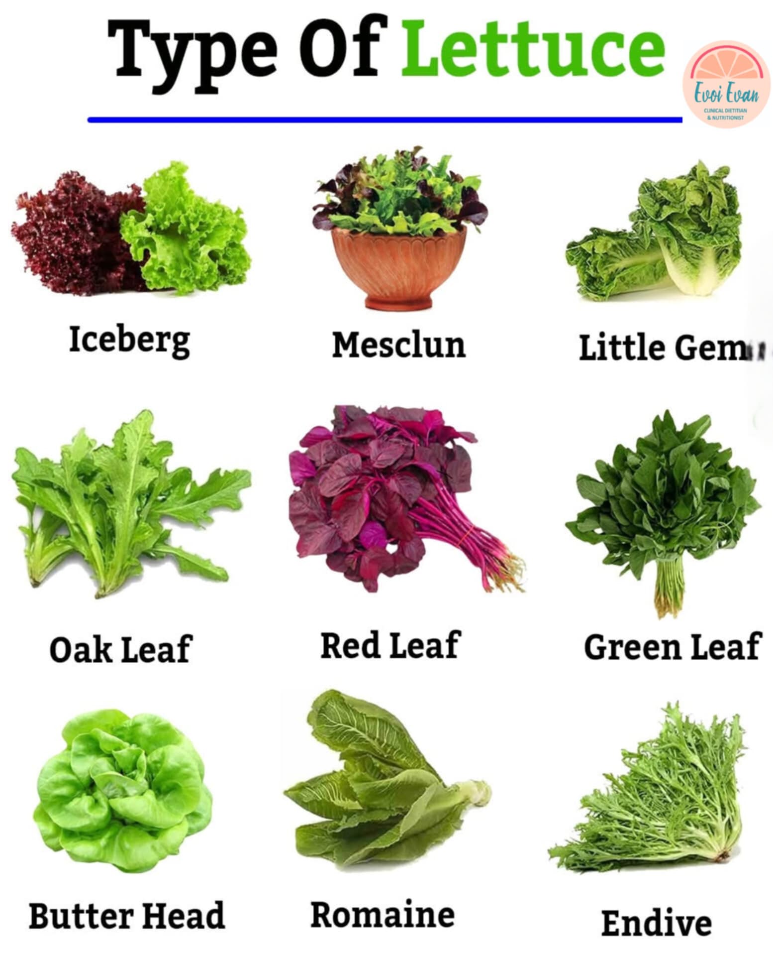 Nutrition Tips